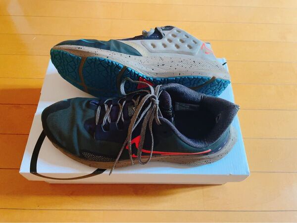 Nike ナイキ エアズーム ペガサス 39 シールド ランニングシューズ DO7625-200 27.0cm