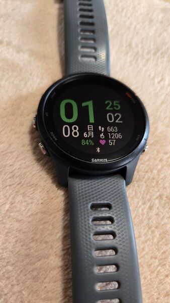 ガーミン 255 forerunner GARMIN ガーミン