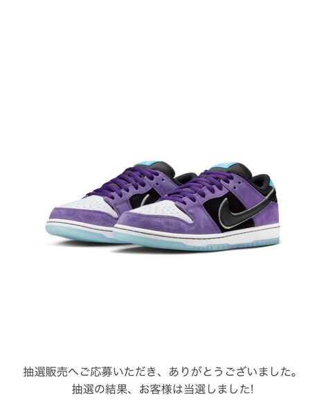 Hayley Wilson × Nike SB Dunk Low Pro 25.5cm