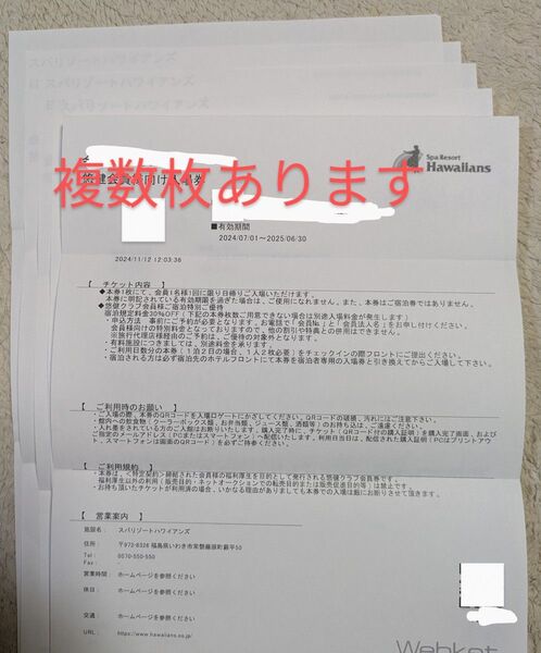 ハワイアンズ スパリゾートハワイアンズ 入場券 施設利用券 チケット