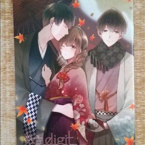 数乱digit ステラワース 特典 小冊子