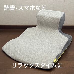 西川keeps ピロークッション