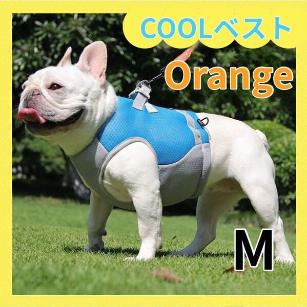 クールベスト M ペット ひんやり ハーネス 冷却 熱中症 犬 暑さ対策