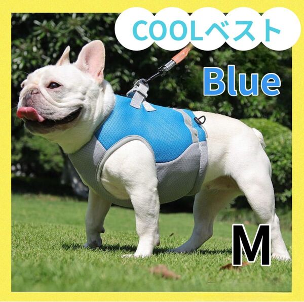 クールベスト ワンちゃん ペット ひんやり ハーネス 冷却 熱中症 犬 暑さ対策