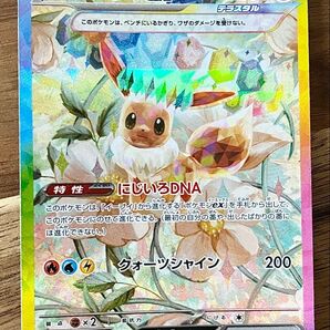 ポケモンカードゲーム イーブイex SAR