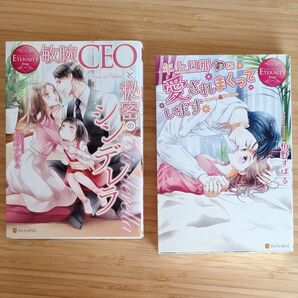 エタニティブックス 栢野すばる 「敏腕CEOと秘密のシンデレラ 」/ 「年上旦那さまに愛されまくっています」