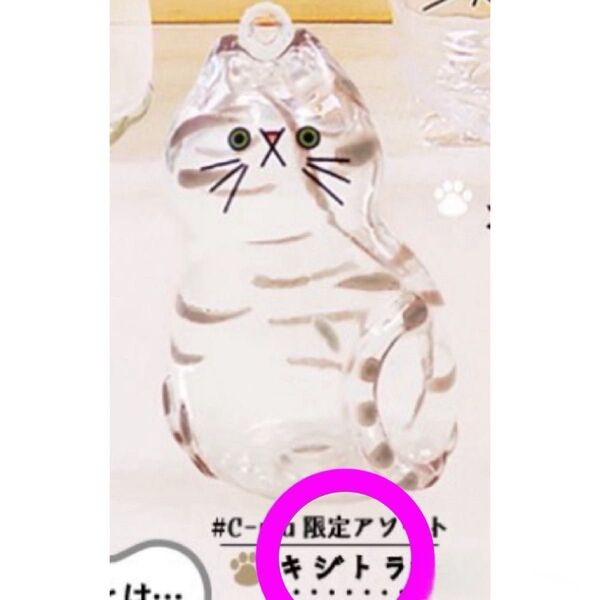 うちの子のけだまだま ガチャ シープラ #C-pla 限定 キジトラ