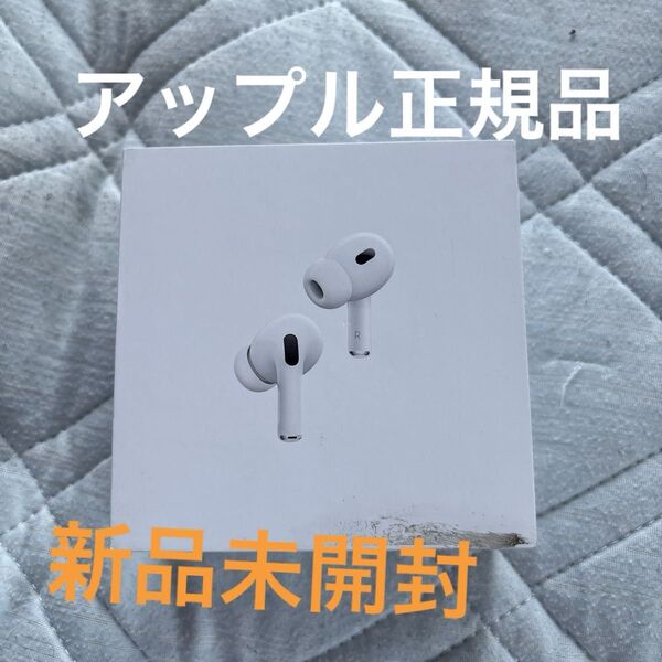 AirPods Pro Apple アップル MTJV3J A USB-Cモデル エアポッズ
