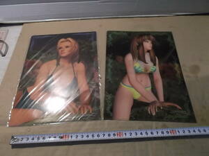  Dead or Alive swimsuit beautiful woman bikini illustration . clear file 2 kind magazine book@... game book@ appendix not for sale 