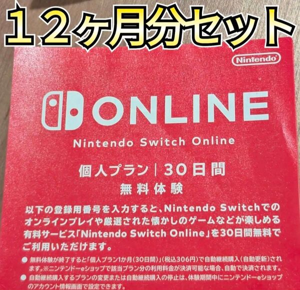 Nintendo ONLINE 12ヶ月分 個人プラン Nintendo Switch ニンテンドースイッチ