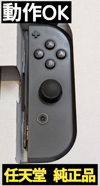 【動作OK】Joy-Con 右 グレー 任天堂 純正品 ニンテンドースイッチ Nintendo Switch コントローラー