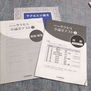 サクセス小論文テスト7