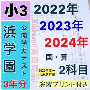 浜学園 公開学力テスト 2022年〜2024年度 小3 3年分 2科目