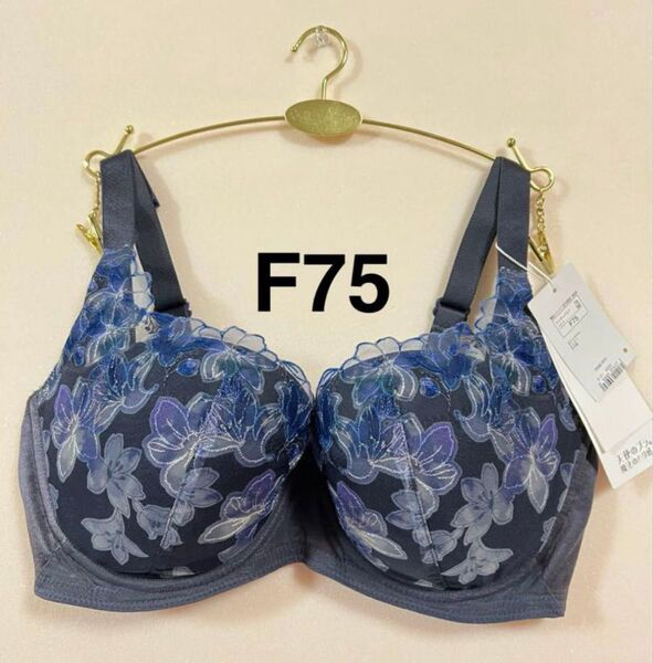 【SALE】トリンプ 天使のブラ 魔法のハリ感 TR596 ブルーグレー F75