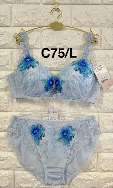 トリンプ プレミアム フロラーレ FL516 スウィート アネモネ 上下セット ブルー C75/L