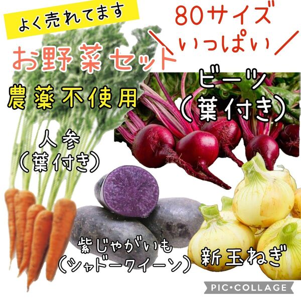 野菜セット 新玉ねぎ ビーツ 人参 じゃがいも シャドークイーン 80サイズ 農薬不使用 詰め合わせ