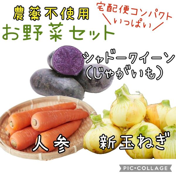 野菜セット 農薬不使用 人参 じゃがいも シャドークイーン 新玉ねぎ 詰め合わせ