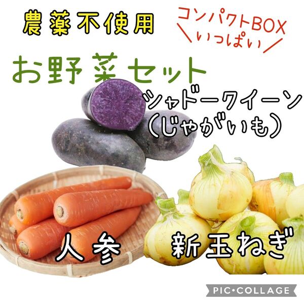 野菜セット 農薬不使用 人参 じゃがいも シャドークイーン 新玉ねぎ 詰め合わせ