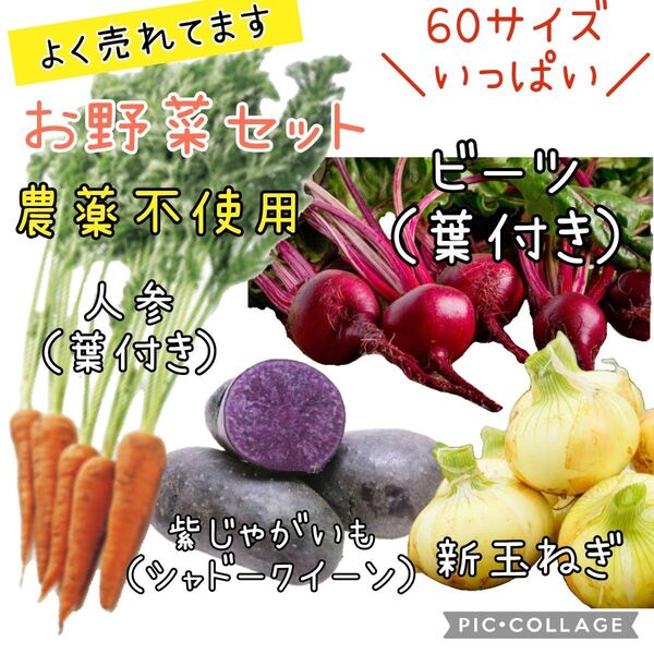 野菜セット 新玉ねぎ ビーツ 人参 じゃがいも シャドークイーン 農薬不使用