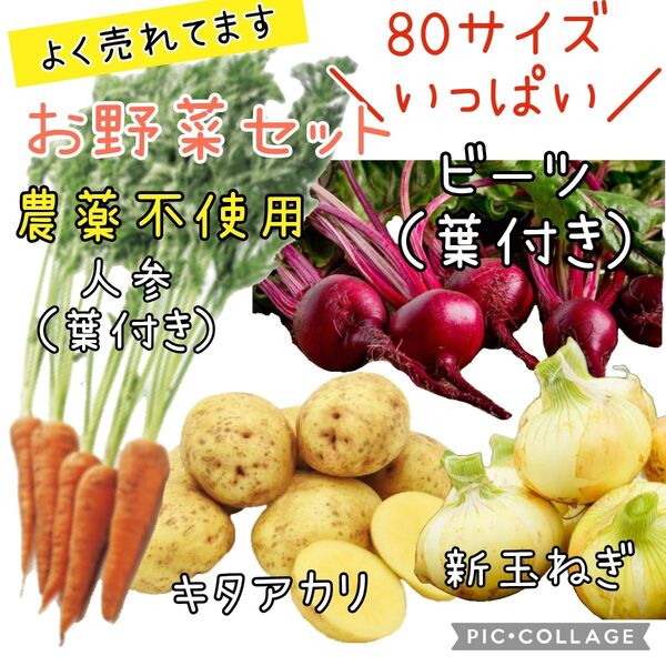 野菜セット 新玉ねぎ ビーツ 人参 じゃがいも 80サイズ 農薬不使用