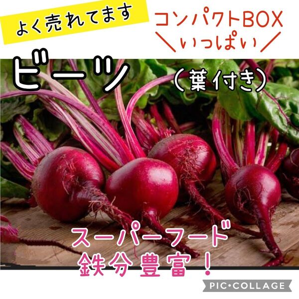 ビーツ 農薬不使用 鉄分豊富 スーパーフード