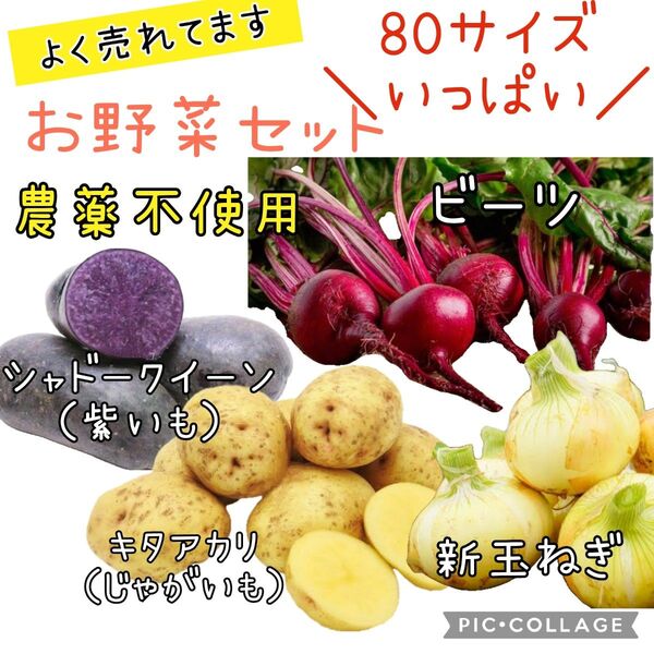 野菜セット 新玉ねぎ ビーツ じゃがいも 80サイズ 農薬不使用 紫いも