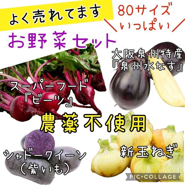 野菜セット 泉州水なす 新玉ねぎ ビーツ じゃがいも 80サイズ 農薬不使用