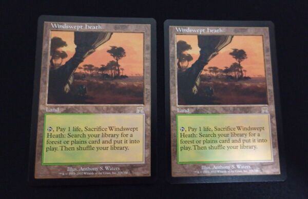 MTG 吹きさらしの荒野 英 2枚セット