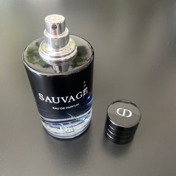 クリスチャン ディオール ソヴァージュ EDP Dior SAUVAGE 100ml 香水 オードパルファム