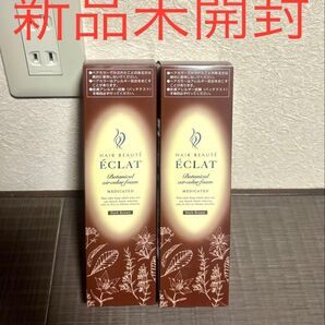 新品 ヘアボーテエクラ ボタニカル エアカラーフォーム ダークブラウン 2本