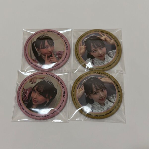 松本かれん FRUITS ZIPPER 武道館グッズ ランダム缶バッジ 4点set