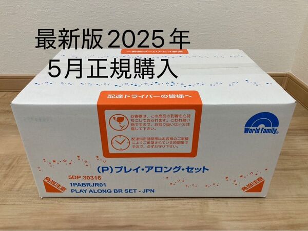 【最新版】ディズニー英語システム Play Along プレイアロング【新品・未開封】