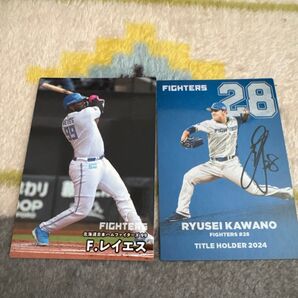 カルビー プロ野球チップス 2025 レイエス 河野竜生 日ハム ファイターズ