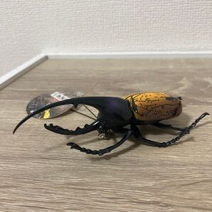 生物図鑑 リアル カブト クワガタ 8 ヘラクレスオオカブト キーホルダー フィギュア