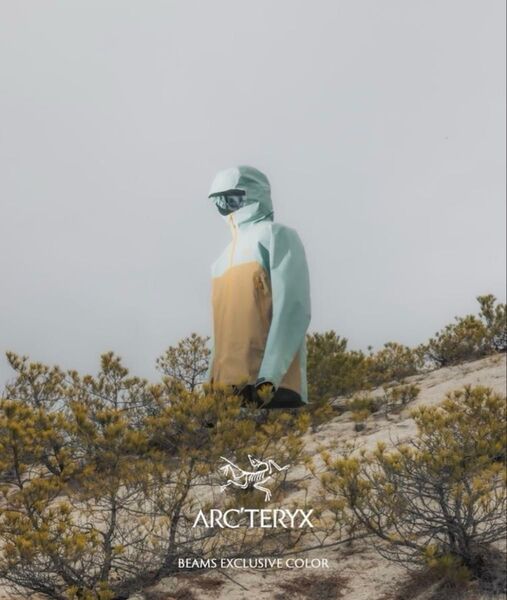 【最終価格】ARC'TERYX BEAMS Exclusive Beta Jacket バードエイド付 Lサイズ