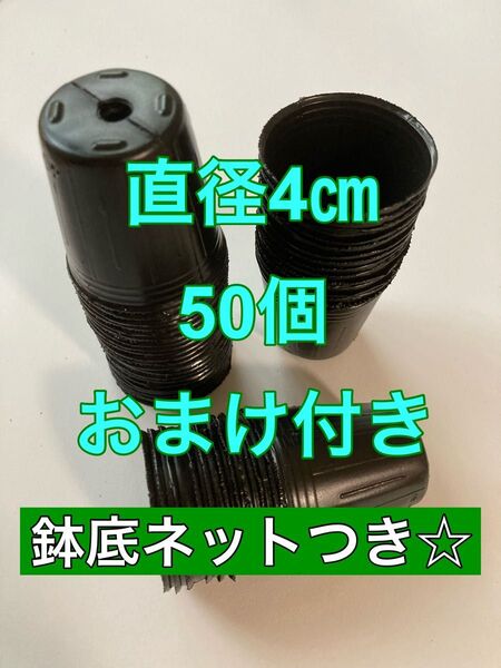 鉢底ネット付き 小さなポリポット 4cm 50個 多肉や小苗に