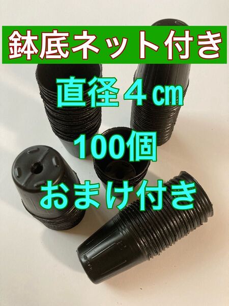 鉢底ネット付き 小さなポリポット 4cm 100個 多肉や小苗に