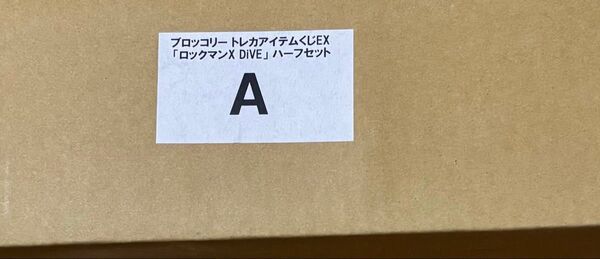 ブロッコリートレカアイテムくじEX ロックマンXDiVE