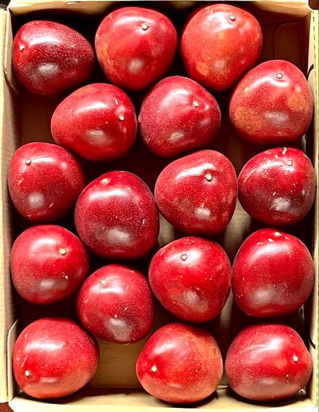 パッションフルーツ1kg