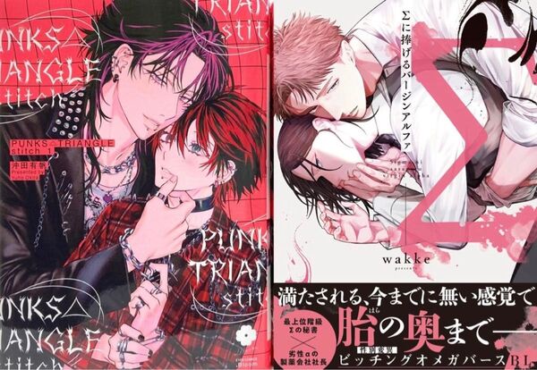 沖田有帆 PUNKS△TRIANGLE stitch1 wakke Σに捧げるバージンアルファ