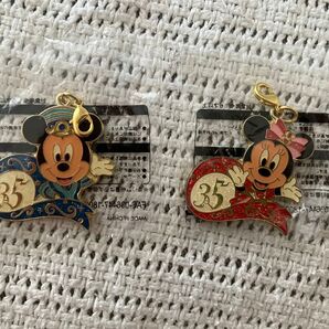 【新品未開封】ディズニーランド 35周年 チャーム 記念 コレクション ミッキー ミニー