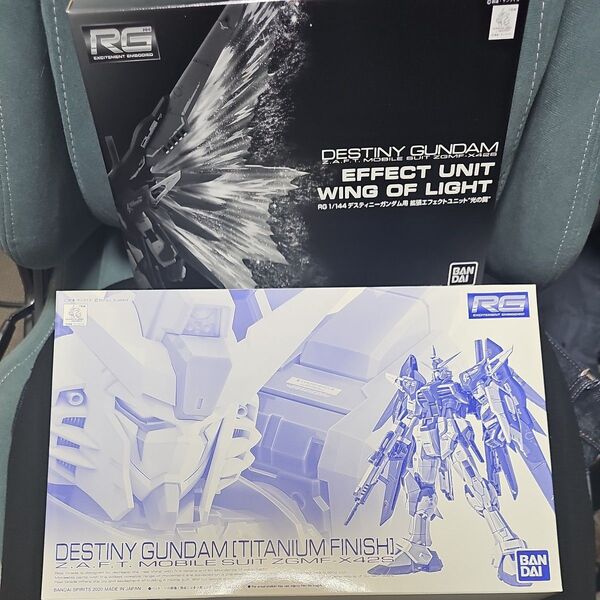 1/144 RG ZGMF-X42S デスティニーガンダム(チタニウムフィニッシュ) プレミアムバンダイ限定 +光の翼
