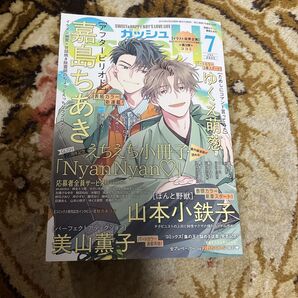 GUSH ガッシュ 2025年 7月号 嘉島ちあき