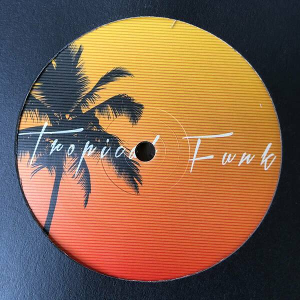 ★送料込み！TROPICAL DISCO！RE-EDIT！LATIN DISCO【Cole Medina - Tropical Funk / Make Your Body Move】新品12inch/Fly By Night Music