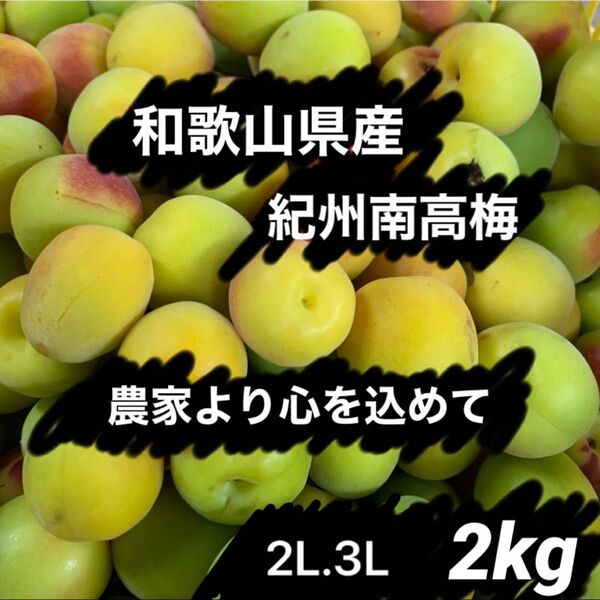和歌山県産 紀州南高梅 黄 2L.3L 箱込み約2kg以上