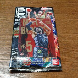 Bリーグ ツインウエハース 2024-25シーズン カード マット・ボンズ