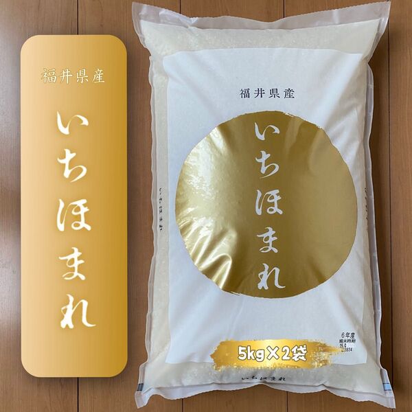 福井県産 いちほまれ 10kg 特A お米10キロ 単一原料米 令和6年産【2025年6月上旬_精米】【5kg×2袋】