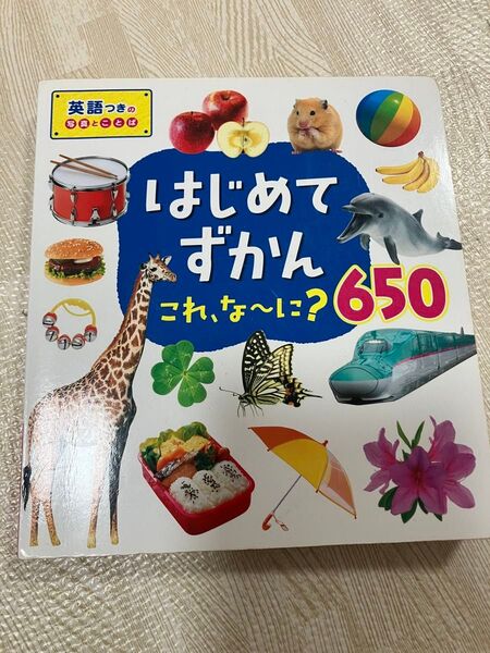 はじめてずかん これ、なーに?650 英語つき