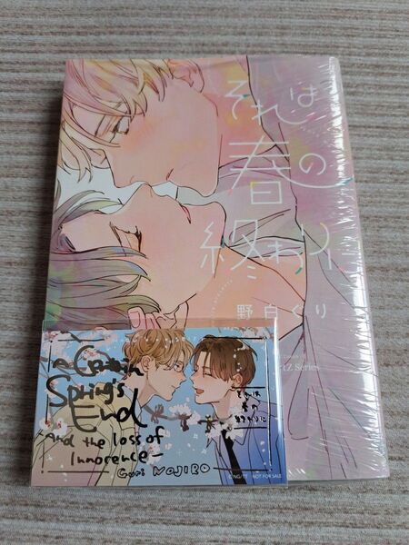 野白ぐり それは春の終わりに 本&カードセット なんかキラキラしてるちょっと小さいカード付