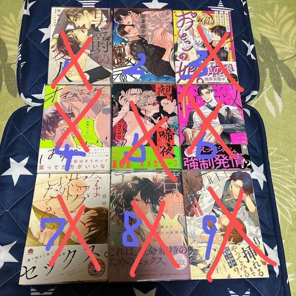 BL漫画まとめA 1冊100円+送料200円